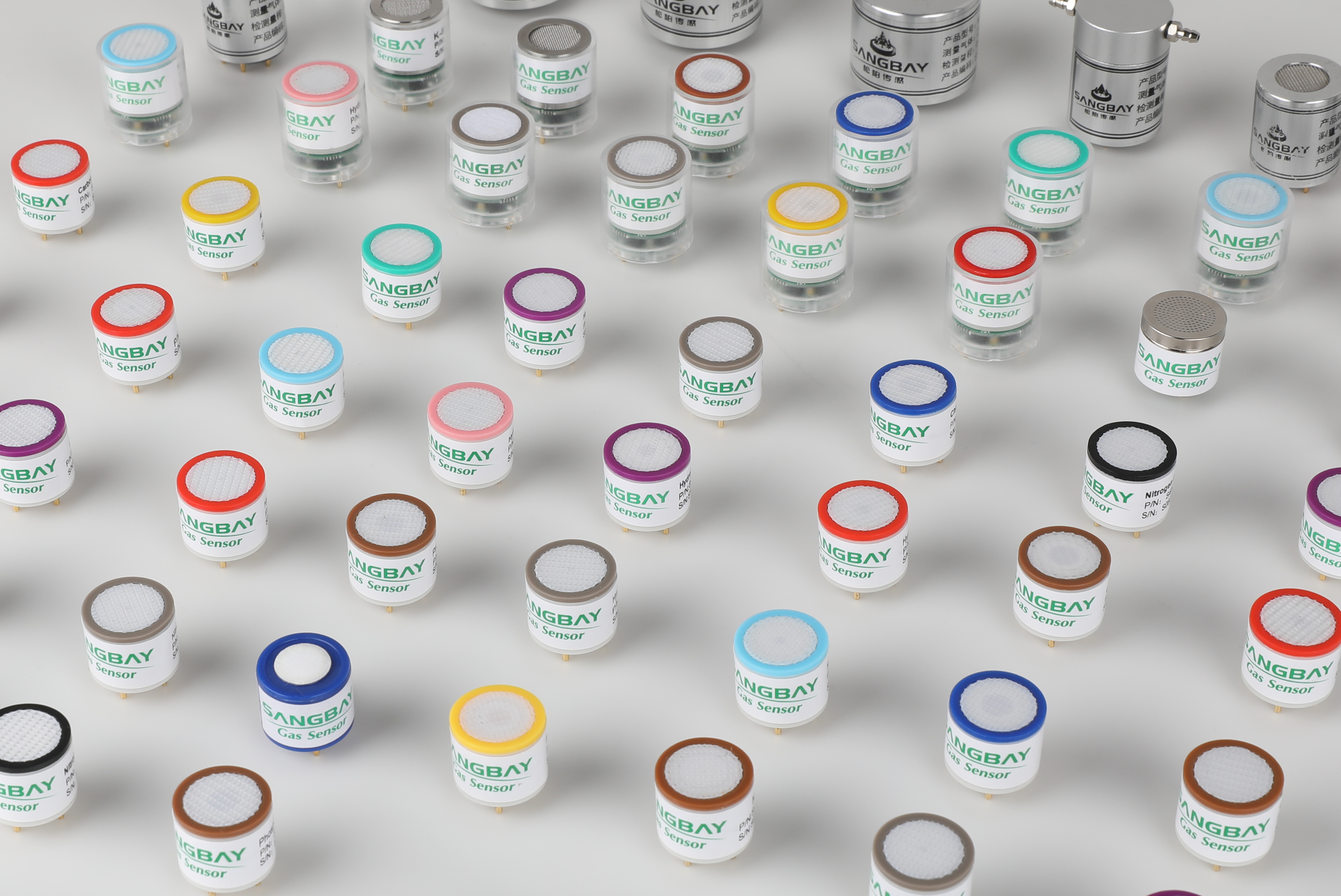 4Q4A0509.JPG 4Q4A0509.JPG