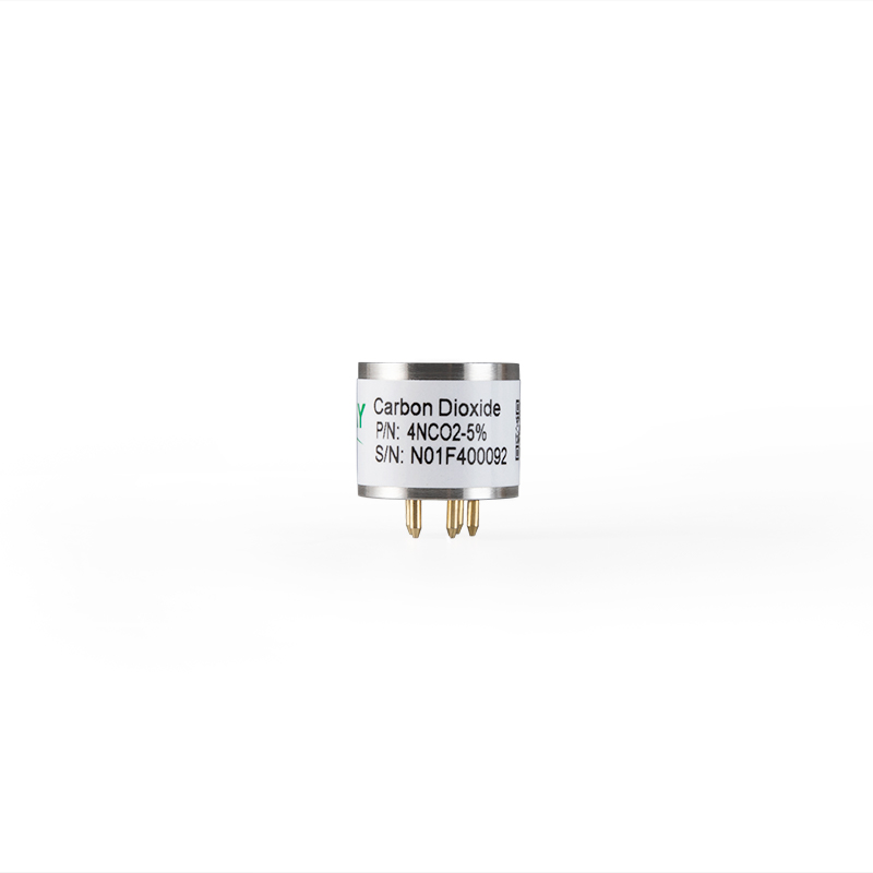 4Q4A1029-.jpg 4Q4A1029-.jpg