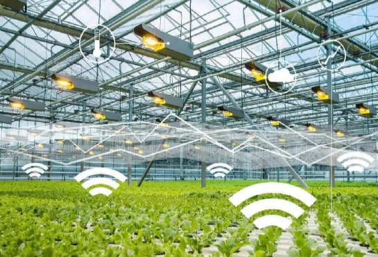 微信截圖_20240806145354.png 微信截圖_20240806145354.png