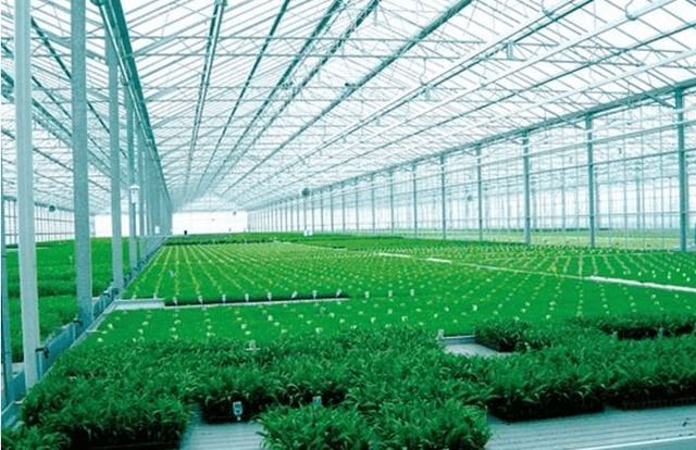 9511507b6ade4e8ab137e3f24011b048_th.png 9511507b6ade4e8ab137e3f24011b048_th.png