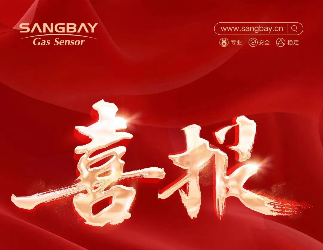 喜報｜上海松柏傳感獲評上海市專精特新中小企業(yè)，助力高質(zhì)量發(fā)展！