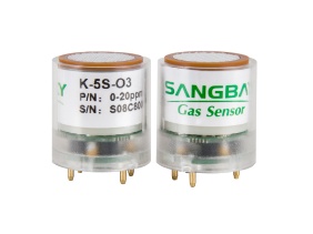 氣體傳感器能否持續(xù)暴露于目標氣體中？