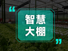 氣體傳感器助力智慧大棚 精準監(jiān)測 高效種植